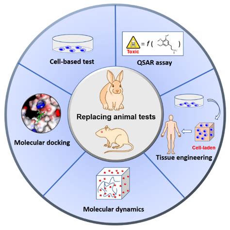 Research for Alternatives to Animal Testing .